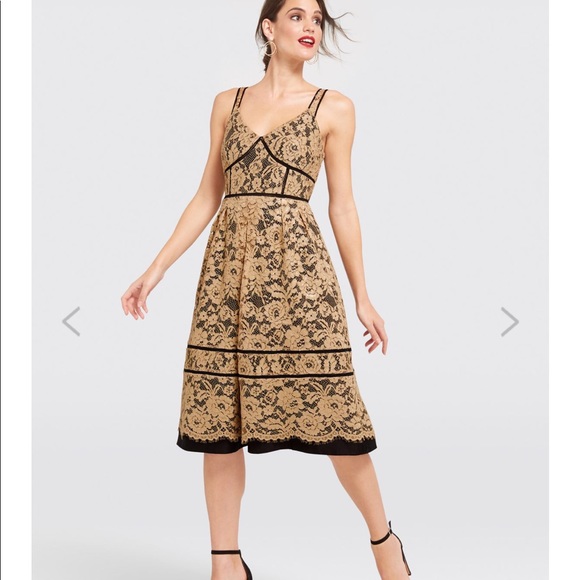 Draper James Dresses & Skirts - NEW • Draper James • Floral Row Lace Midi Dress 6